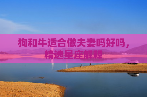 狗和牛适合做夫妻吗好吗，精选星座解释