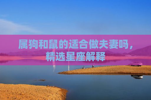 属狗和鼠的适合做夫妻吗，精选星座解释