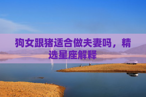 狗女跟猪适合做夫妻吗，精选星座解释