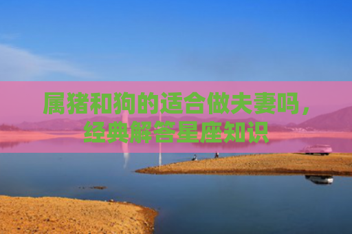 属猪和狗的适合做夫妻吗，经典解答星座知识
