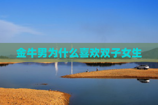 金牛男为什么喜欢双子女生