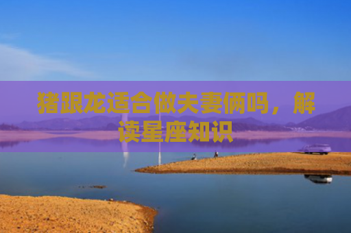 猪跟龙适合做夫妻俩吗，解读星座知识