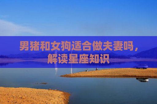 男猪和女狗适合做夫妻吗，解读星座知识