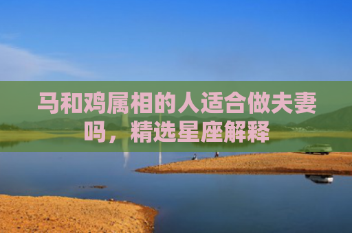马和鸡属相的人适合做夫妻吗，精选星座解释
