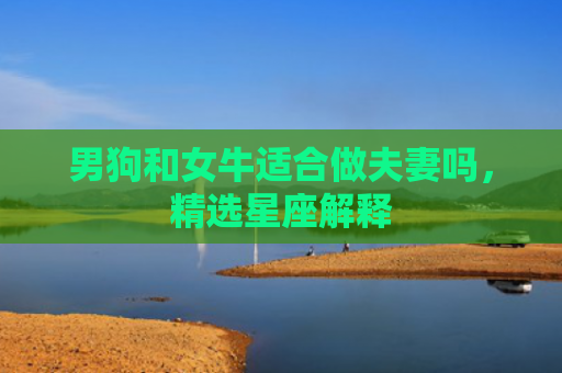 男狗和女牛适合做夫妻吗，精选星座解释