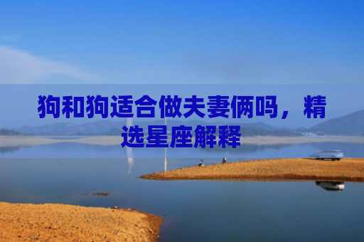 狗和狗适合做夫妻俩吗，精选星座解释