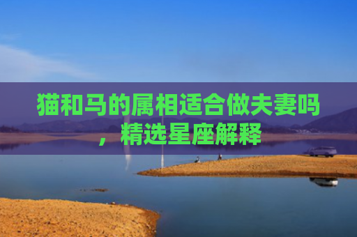猫和马的属相适合做夫妻吗，精选星座解释