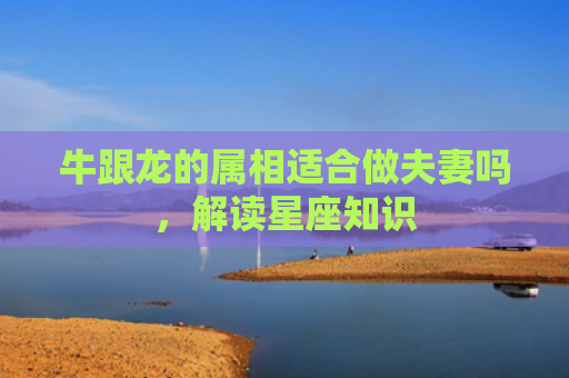牛跟龙的属相适合做夫妻吗，解读星座知识