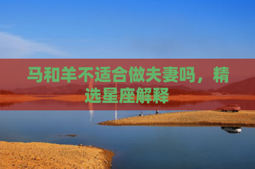 马和羊不适合做夫妻吗，精选星座解释