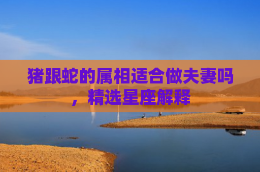 猪跟蛇的属相适合做夫妻吗，精选星座解释