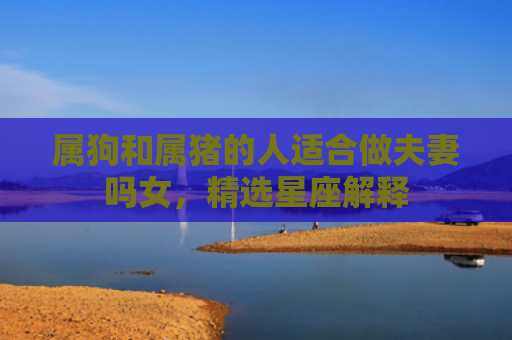 属狗和属猪的人适合做夫妻吗女，精选星座解释