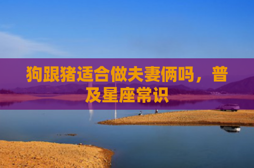 狗跟猪适合做夫妻俩吗，普及星座常识