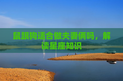 鼠跟狗适合做夫妻俩吗，解读星座知识