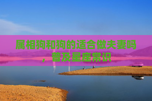 属相狗和狗的适合做夫妻吗，普及星座常识