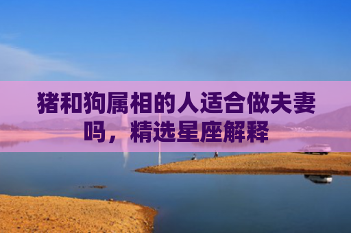 猪和狗属相的人适合做夫妻吗，精选星座解释