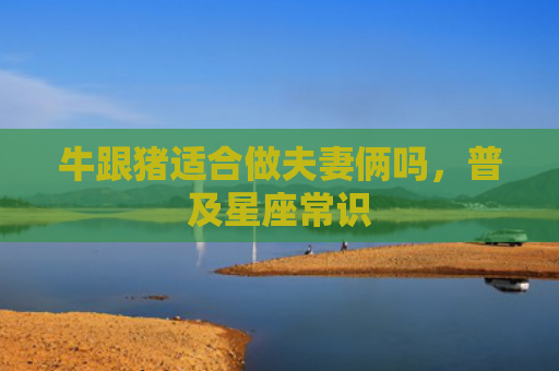 牛跟猪适合做夫妻俩吗，普及星座常识