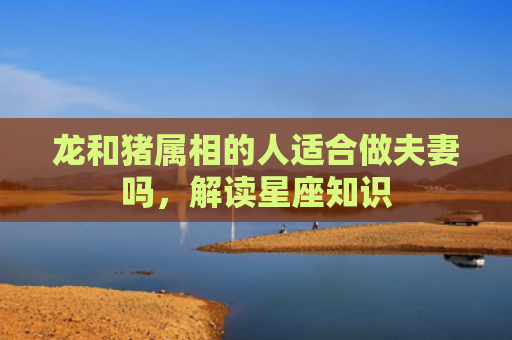 龙和猪属相的人适合做夫妻吗，解读星座知识