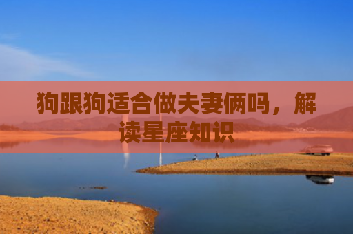 狗跟狗适合做夫妻俩吗，解读星座知识
