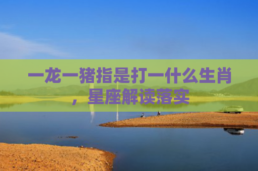 一龙一猪指是打一什么生肖，星座解读落实