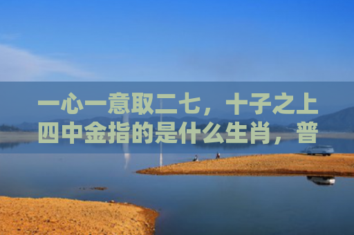 一心一意取二七，十子之上四中金指的是什么生肖，普及星座常识