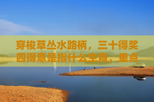 穿梭草丛水路柄，三十得奖四得意是指什么生肖，重点解答星座释义