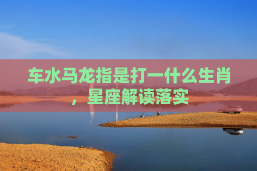 车水马龙指是打一什么生肖，星座解读落实