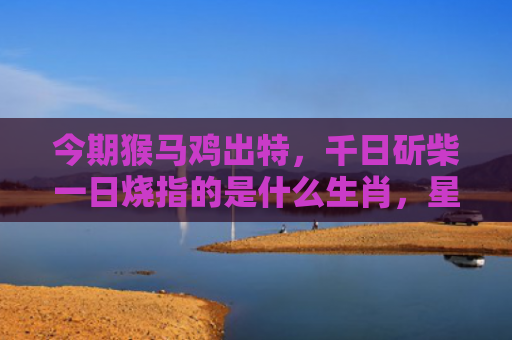 今期猴马鸡出特，千日斫柴一日烧指的是什么生肖，星座解读落实