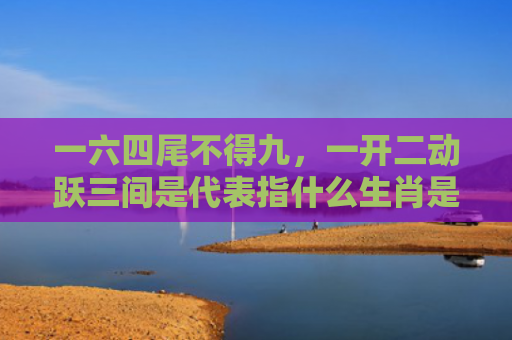 一六四尾不得九，一开二动跃三间是代表指什么生肖是指什么生肖，精选星座解释