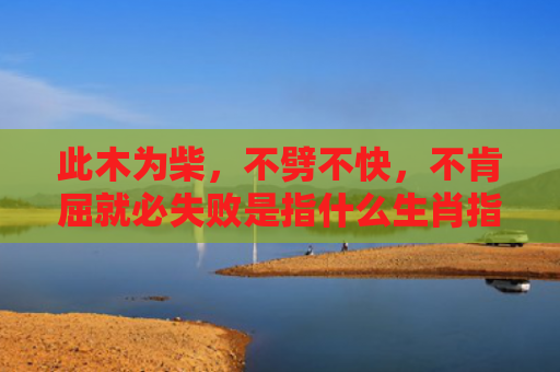 此木为柴，不劈不快，不肯屈就必失败是指什么生肖指的是什么生肖，星座解读落实