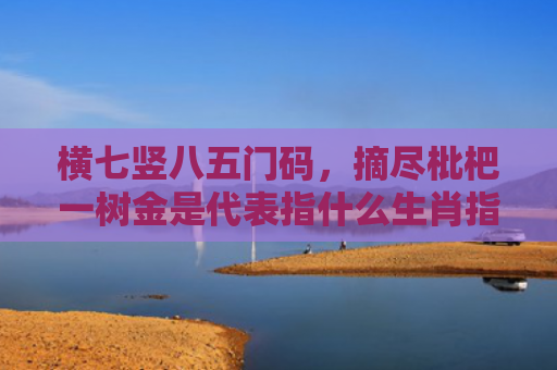横七竖八五门码，摘尽枇杷一树金是代表指什么生肖指是打一什么生肖，经典解答星座知识
