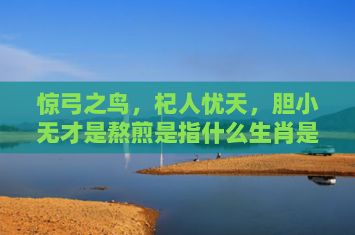 惊弓之鸟，杞人忧天，胆小无才是熬煎是指什么生肖是指什么生肖，精选星座解释