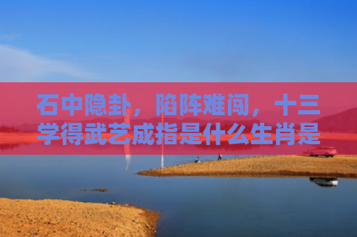 石中隐卦，陷阵难闯，十三学得武艺成指是什么生肖是指什么生肖，经典解答星座知识