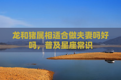 龙和猪属相适合做夫妻吗好吗，普及星座常识