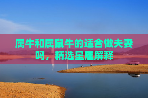 属牛和属鼠牛的适合做夫妻吗，精选星座解释