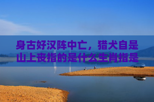 身古好汉阵中亡，猎犬自是山上丧指的是什么生肖指是打一什么生肖，解读星座知识