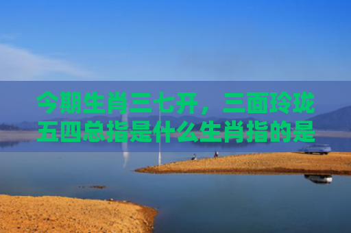 今期生肖三七开，三面玲珑五四总指是什么生肖指的是什么生肖，星座解读落实