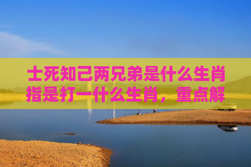 士死知己两兄弟是什么生肖指是打一什么生肖，重点解答星座释义