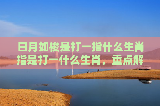 日月如梭是打一指什么生肖指是打一什么生肖，重点解答星座释义