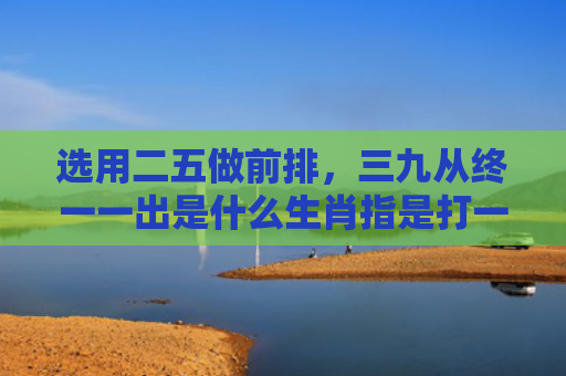 选用二五做前排，三九从终一一出是什么生肖指是打一什么生肖，精选星座解释