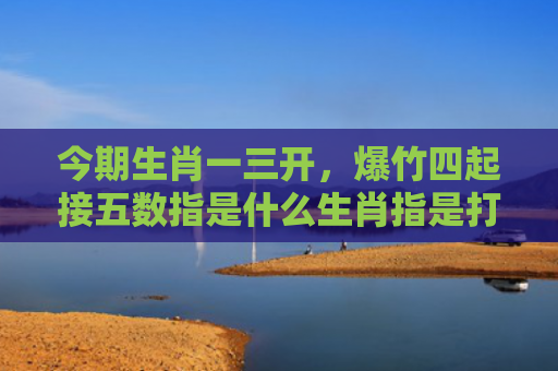 今期生肖一三开，爆竹四起接五数指是什么生肖指是打一什么生肖，精选星座解释