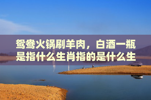鸳鸯火锅刷羊肉，白酒一瓶是指什么生肖指的是什么生肖，经典解答星座知识
