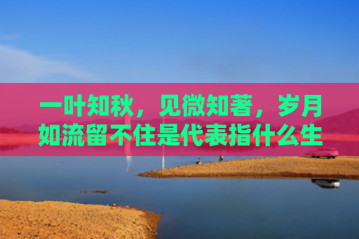 一叶知秋，见微知著，岁月如流留不住是代表指什么生肖指是打一什么生肖，重点解答星座释义