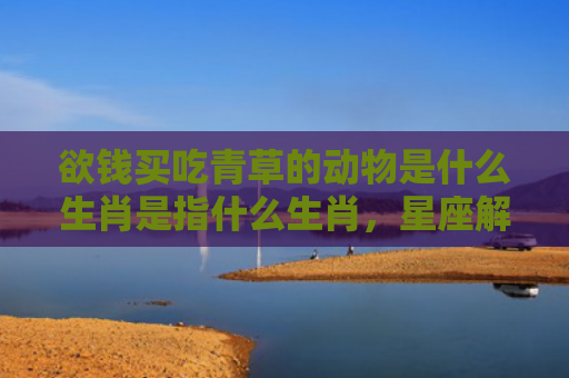 欲钱买吃青草的动物是什么生肖是指什么生肖，星座解读落实