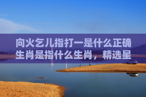 向火乞儿指打一是什么正确生肖是指什么生肖，精选星座解释