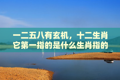 一二五八有玄机，十二生肖它第一指的是什么生肖指的是什么生肖，重点解答星座释义
