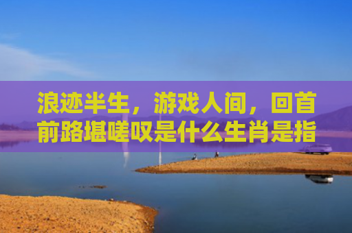 浪迹半生，游戏人间，回首前路堪嗟叹是什么生肖是指什么生肖，星座解读落实