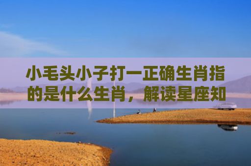 小毛头小子打一正确生肖指的是什么生肖，解读星座知识