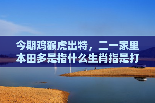 今期鸡猴虎出特，二一家里本田多是指什么生肖指是打一什么生肖，重点解答星座释义