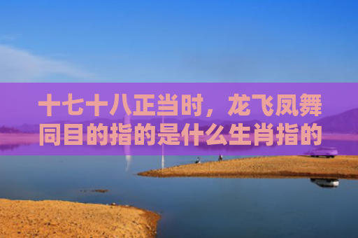 十七十八正当时，龙飞凤舞同目的指的是什么生肖指的是什么生肖，解读星座知识