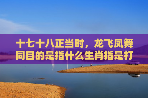 十七十八正当时，龙飞凤舞同目的是指什么生肖指是打一什么生肖，星座解读落实